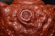 《靈芝供春》經(jīng)典紫砂壺供春宜興全手工工藝美術(shù)師泡茶壺茶具大紅袍