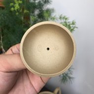 秦權壺
