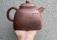 觀(guān)海聽(tīng)濤