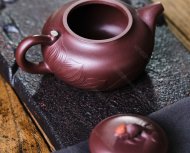 魚(yú)趣