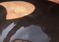 魚(yú)化龍