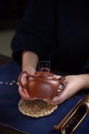 《魚(yú)樂(lè )壺》