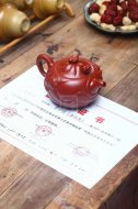 《魚(yú)化龍》