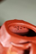 《安居樂(lè )業(yè)》