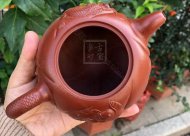 《魚(yú)化龍套組》