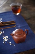 《魚(yú)樂(lè )壺》