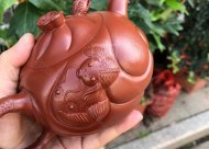 《魚(yú)化龍套組》