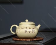 春滿(mǎn)玉壺