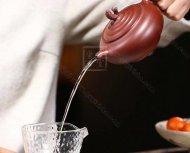 《魚(yú)樂(lè )壺》
