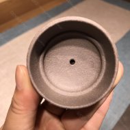 樹(shù)癭半月
