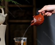 魚(yú)化龍