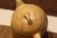《梅花秦權》宜興紫砂壺助理工藝美術(shù)師純手工本山段茶壺全手工秦權紫砂壺