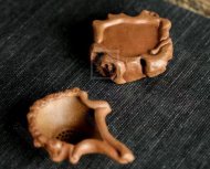 《樹(shù)樁茶漏》