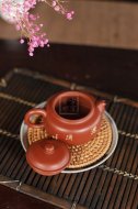 《鳥(niǎo)語(yǔ)花香》