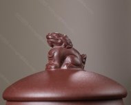 魚(yú)躍龍門(mén)