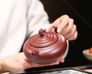 《魚(yú)樂(lè )壺》