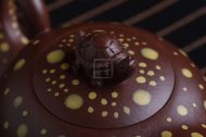 《長(cháng)壽》