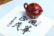 《風(fēng)華正茂》