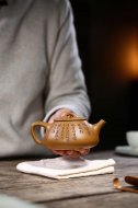 江南好，風(fēng)景舊曾諳【平蓋子冶】