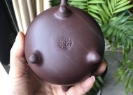 竹韻飄香；紫泥350CC