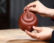 《靈龍納?！? title=