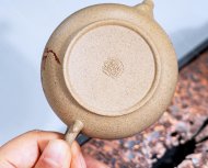 玉蘭花開(kāi)