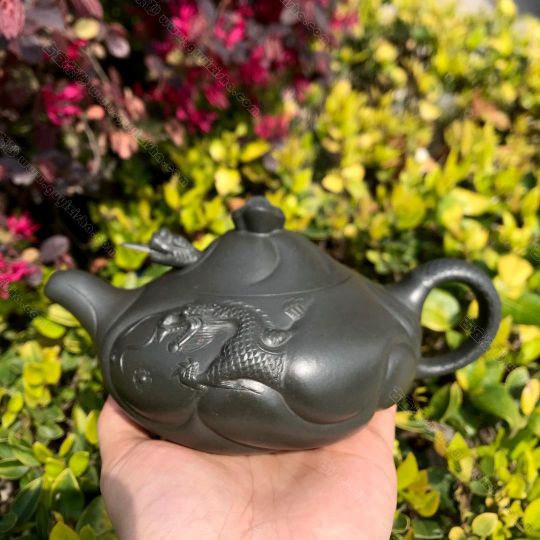 魚(yú)化龍