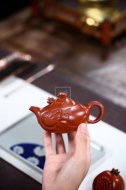 《小魚(yú)化龍》