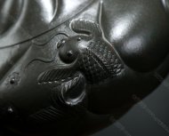 魚(yú)化龍