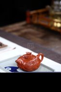 《小魚(yú)化龍》