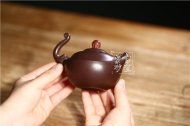 《魚(yú)龍戲珠》