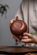 鼠來(lái)寶