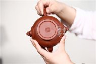 《瑞獅納?！? title=