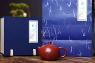 《西施》宜興工藝美術(shù)師手工紫砂壺茶壺老師制大紅袍西施