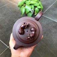 扭轉乾坤