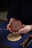 《魚(yú)樂(lè )壺》