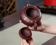魚(yú)樂(lè )壺