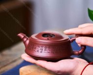 牛蓋竹節