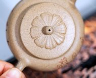玉蘭花開(kāi)