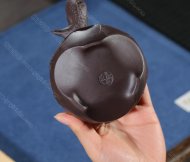 魚(yú)樂(lè )