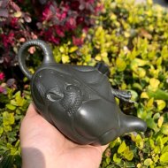 魚(yú)化龍