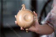 《多子多?！? title=