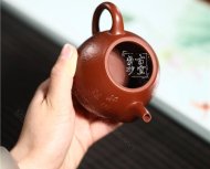 《魚(yú)樂(lè )》