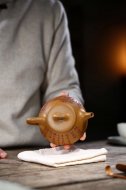 江南好，風(fēng)景舊曾諳【平蓋子冶】