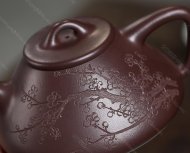 瓣生香獨傲寒，此梅難并眾梅看。 【