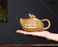 《長(cháng)生》