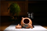 《魚(yú)樂(lè )》