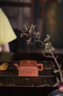 《云卷飛泉》宜興紫砂壺高級工藝美術(shù)師手工降坡泥降坡泥茶壺茶具四方