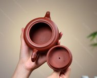 魚(yú)樂(lè )
