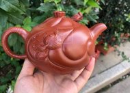《魚(yú)化龍套組》